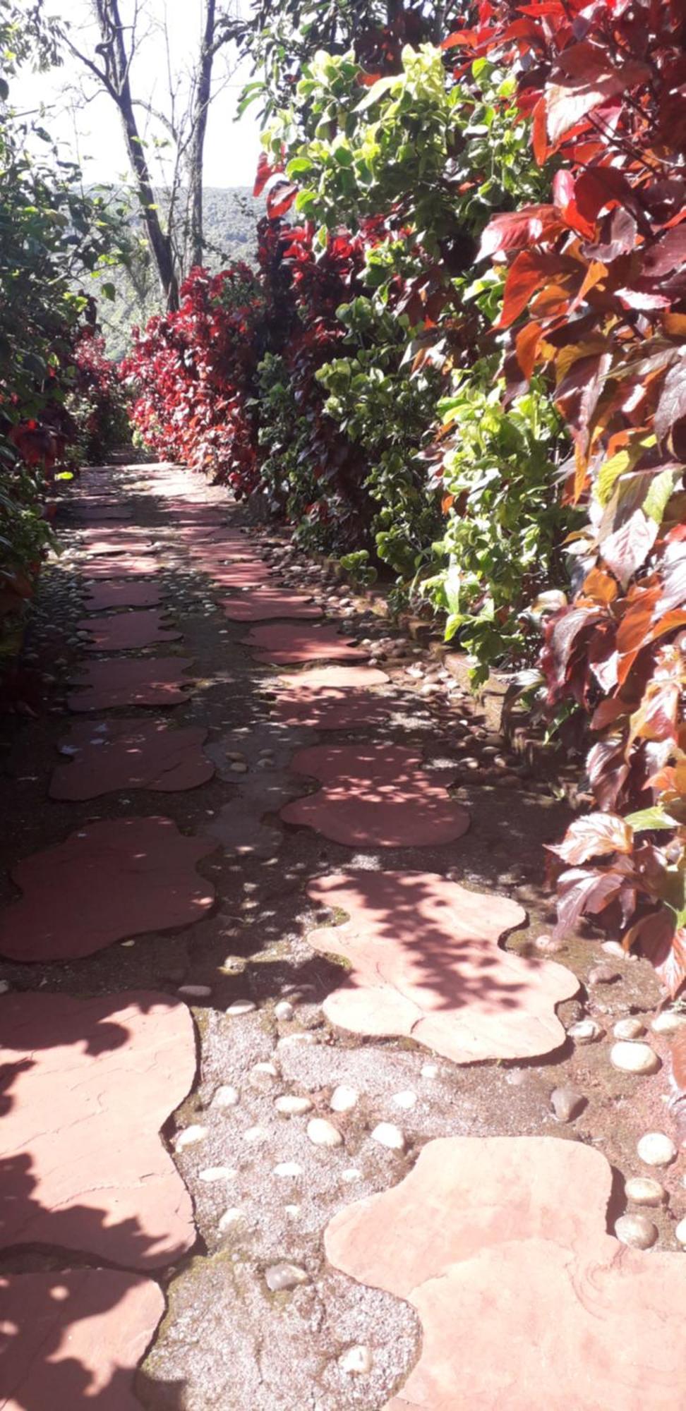 Strawberry Country Villa Mahabaleshwar Phòng bức ảnh